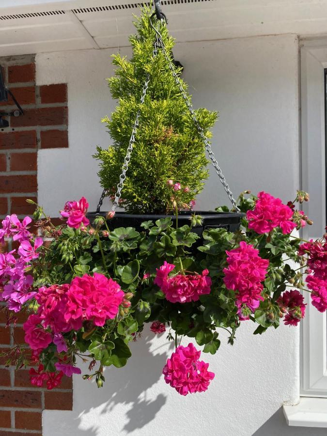 Toppesfield House B&B Bude Exterior foto