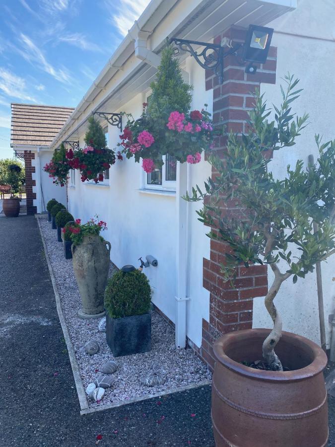 Toppesfield House B&B Bude Exterior foto