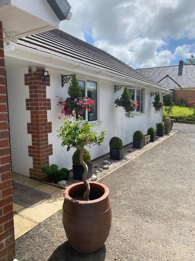 Toppesfield House B&B Bude Exterior foto