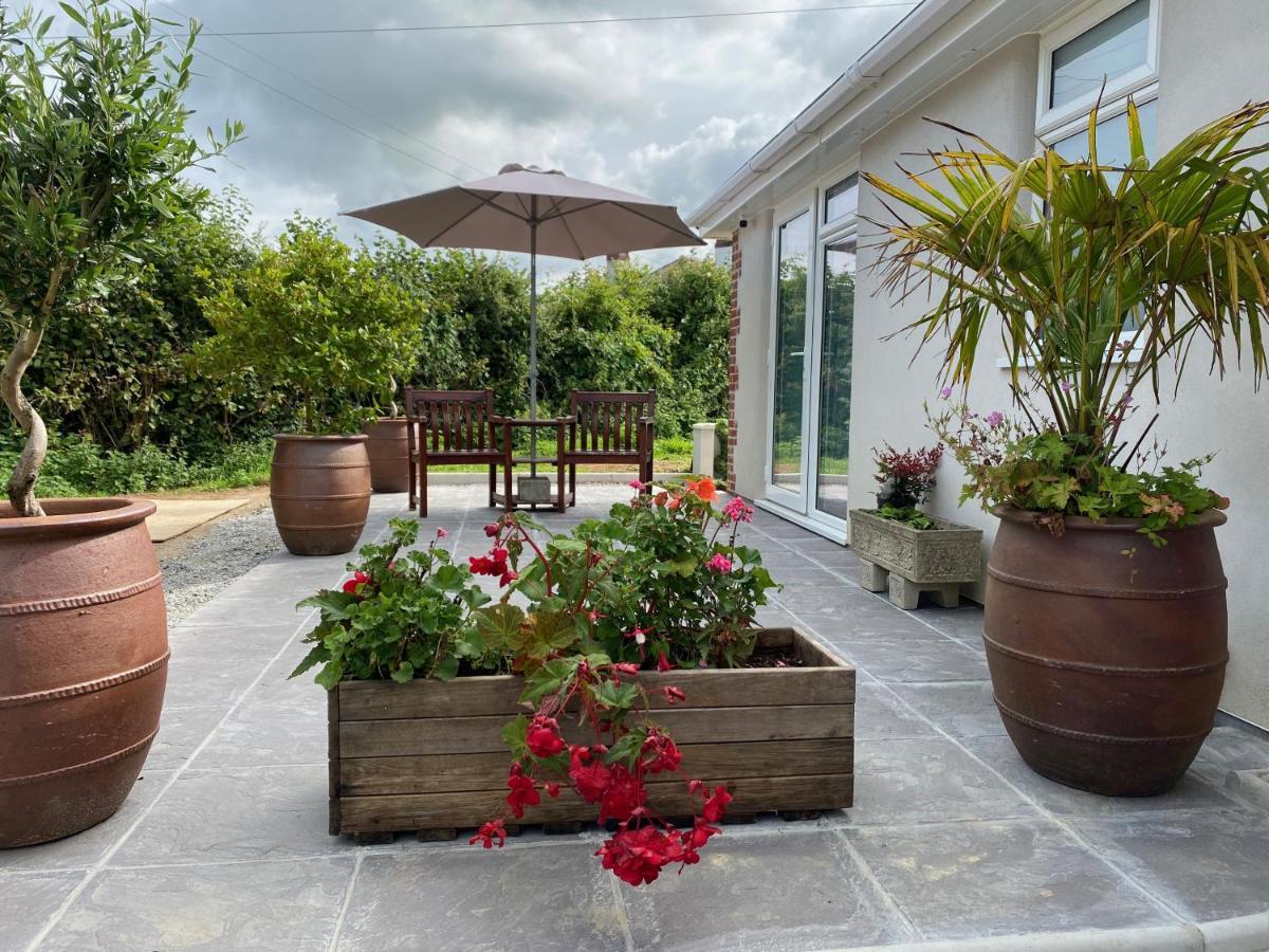 Toppesfield House B&B Bude Exterior foto