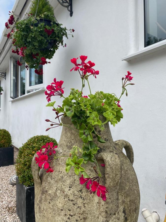 Toppesfield House B&B Bude Exterior foto