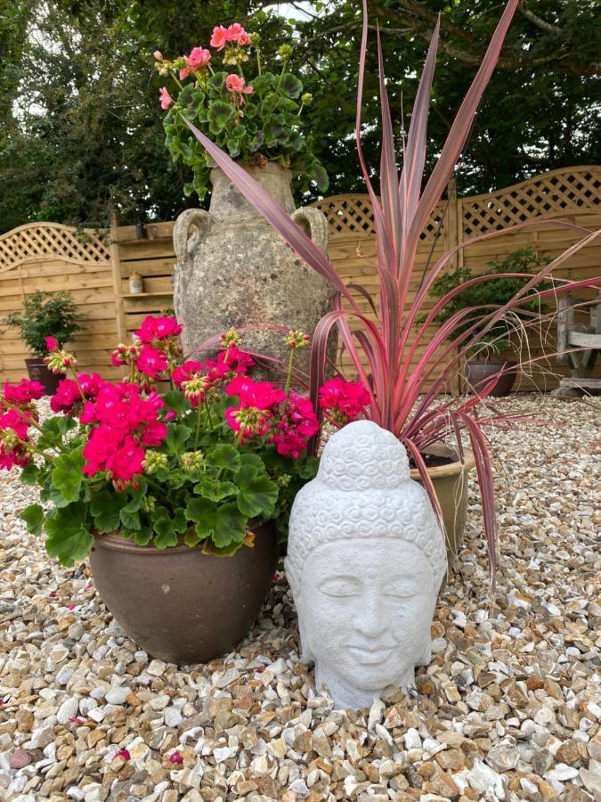 Toppesfield House B&B Bude Exterior foto