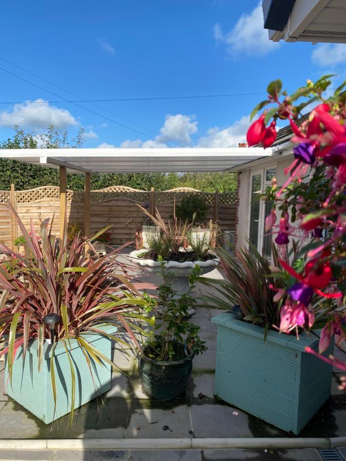Toppesfield House B&B Bude Exterior foto